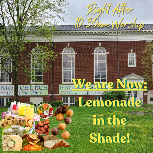 Lemonade in the Shade 1