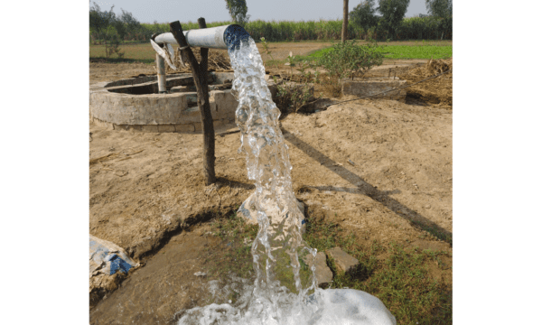 2026 03 08 Lent 3 bulletin Cover