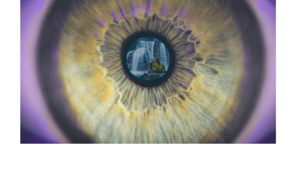 2026 03 15 Lent 4 bulletin Cover